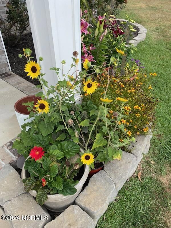 4217 Barrington Dr, Greenville, NC 27834 - photo 3