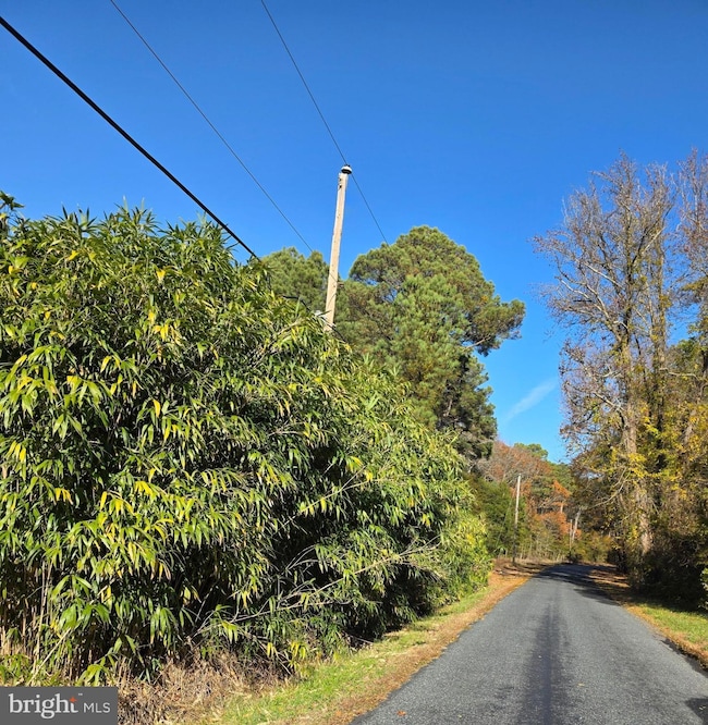 0 Roland Parks Rd unit MDSO2006658, Chance, MD 21821 - photo 2
