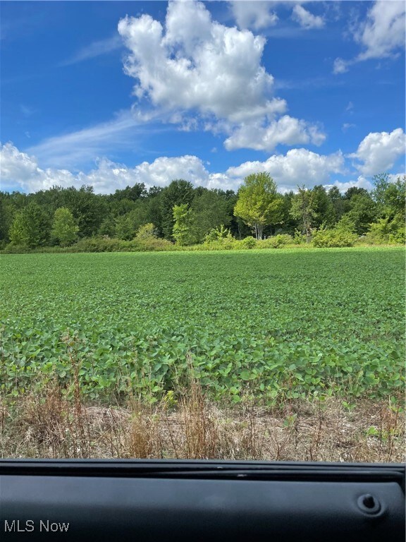 View of local wilderness with rows of crops and rural landscape