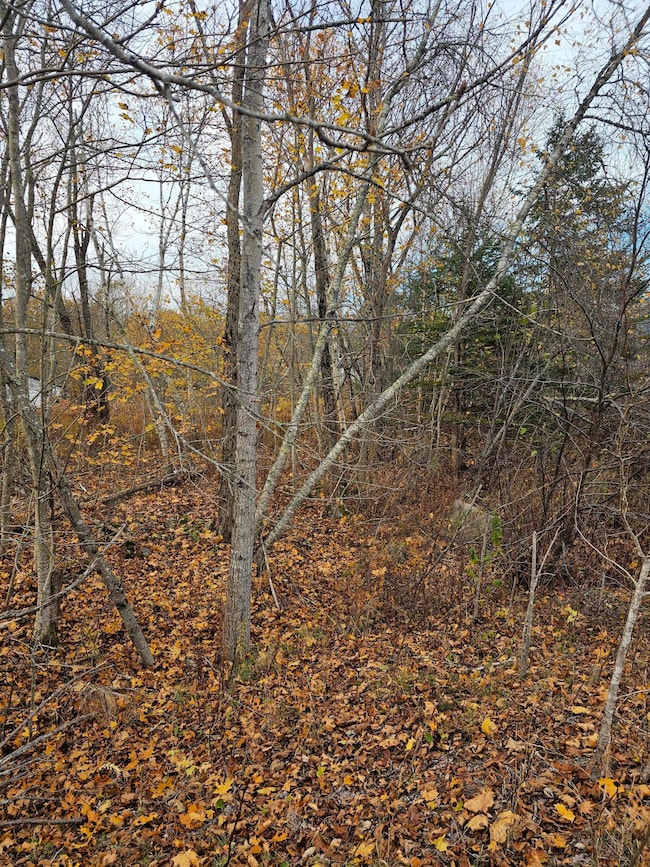 109 Main St, Franklin, ME 04634 - photo 4