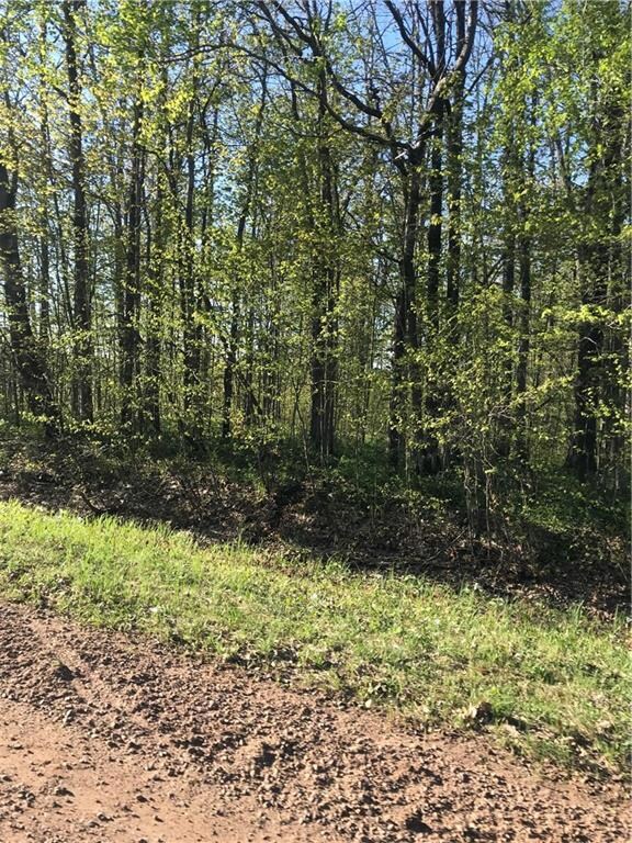 0 15th Ave, Rice Lake, WI 54868 - photo 4