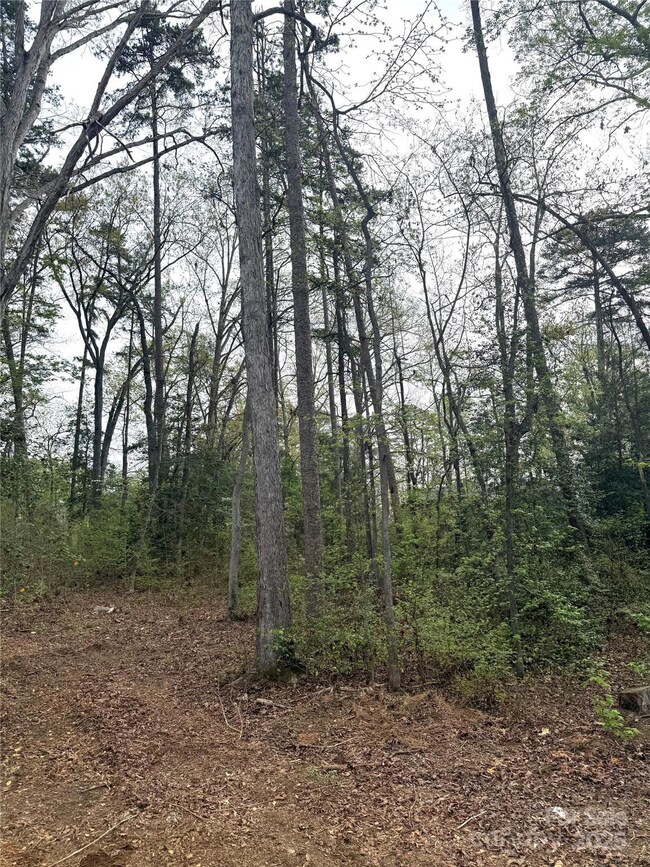 102 Archer Glen unit 27, Eldorado, NC 28127 - photo 5