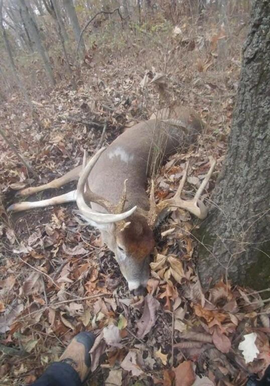 Fall 2018 on Property....10 Pointer