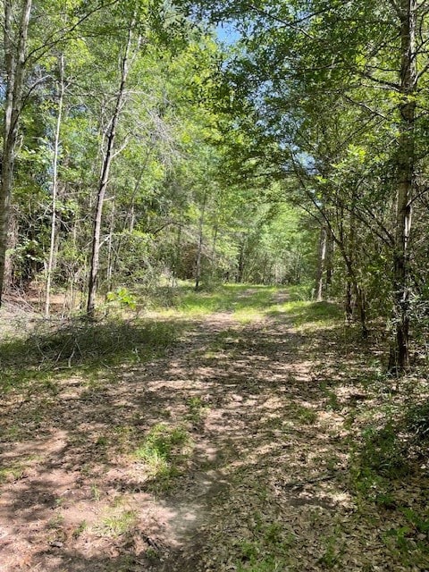 0 Tom Warner Rd, Tylertown, MS 39667 - photo 2