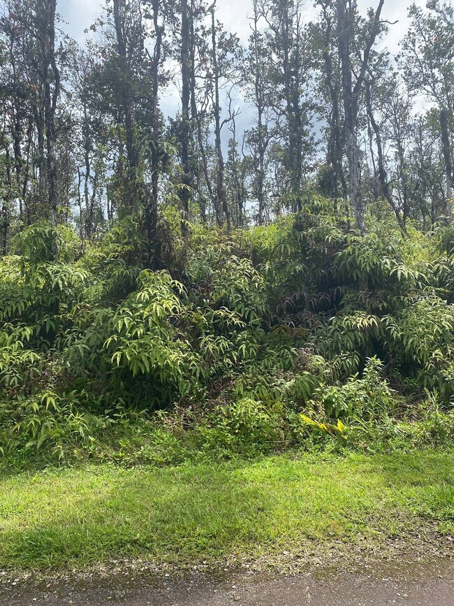 0 Molokai Rd unit 709658, Pahoa, HI 96778 - photo 5