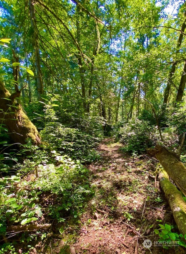 28686 141st Ave SW, Vashon, WA 98070 - photo 4