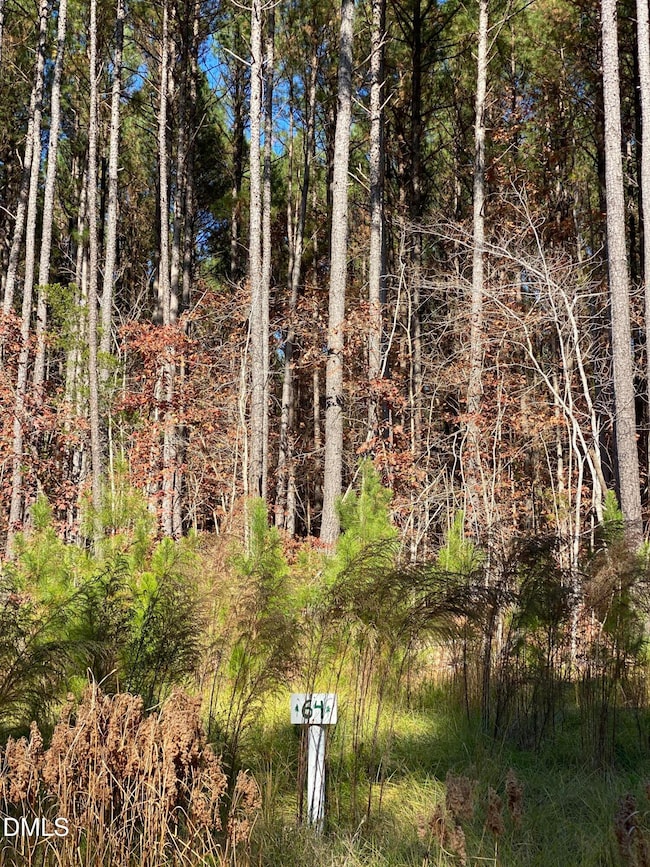 586 Anneliis Ln, Siler City, NC 27344 - photo 2