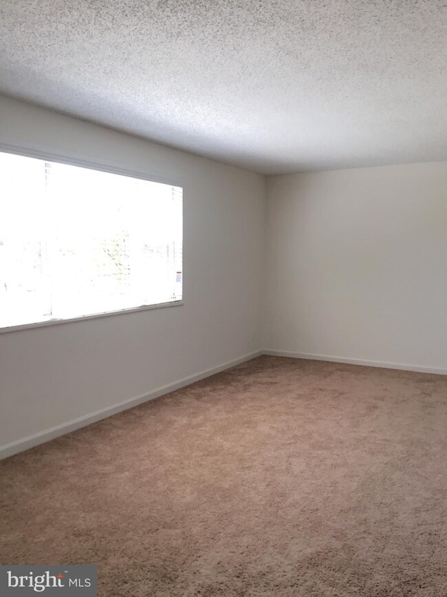 2910 Peyton Randolph Dr unit 102, Falls Church, VA 22044 - photo 4