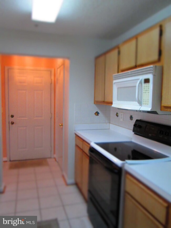 2701 Snowbird Terrace unit 2, Silver Spring, MD 20906 - photo 6