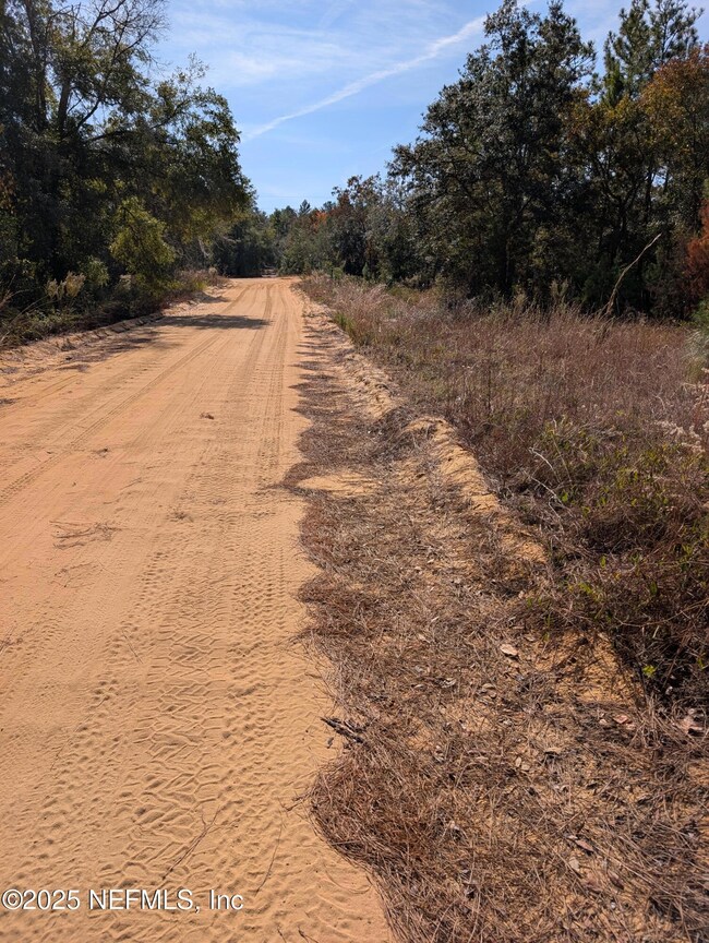 0570-0020 Violet Ave, Interlachen, FL 32148 - photo 5