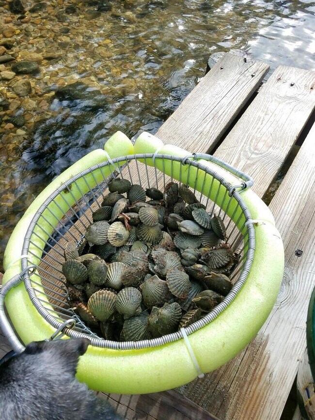 0 Worcester Ave, Hudson, MA 01749 - photo 4