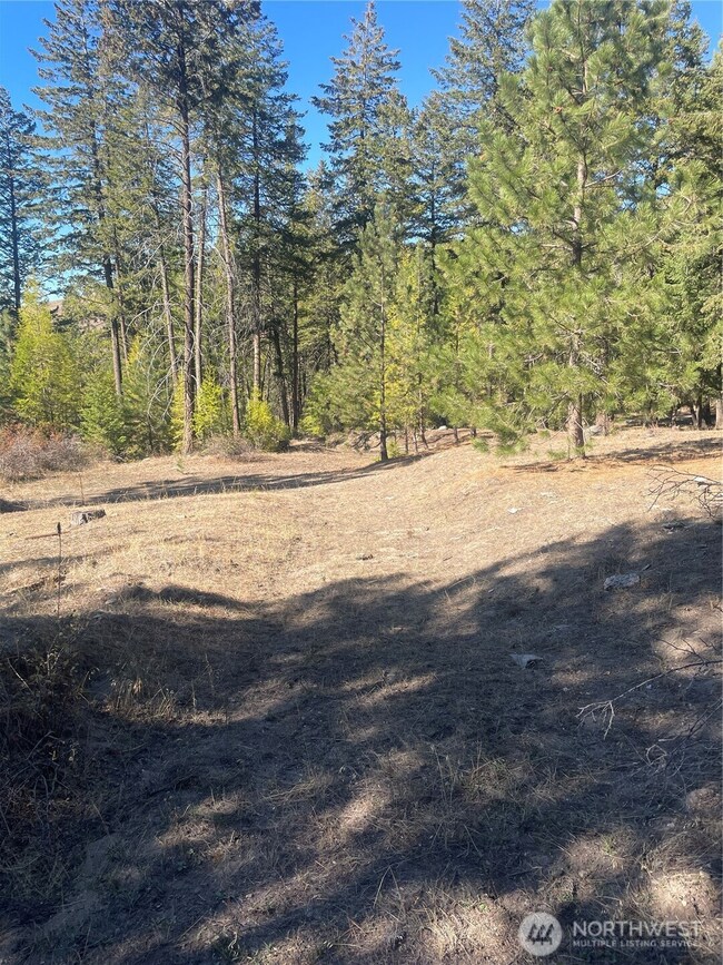 0 High Country Rd W unit NWM2438687, Tonasket, WA 98855 - photo 7