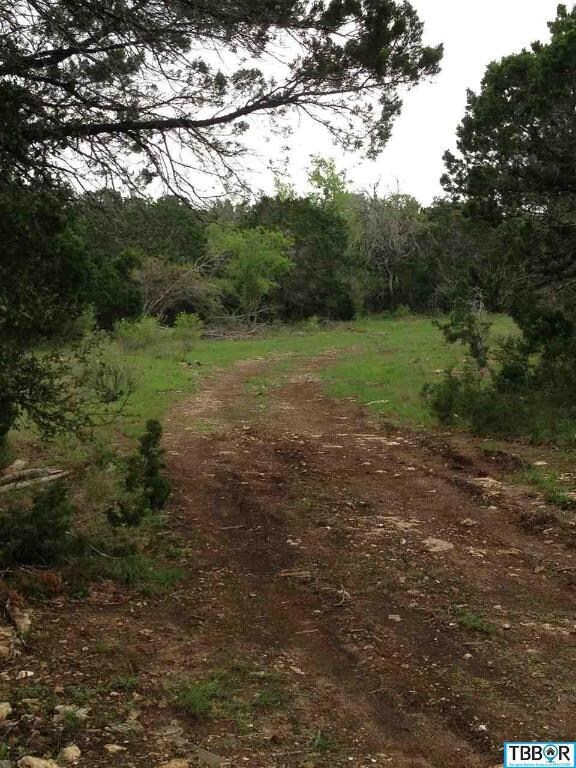 0 Kuykendall Mountain Rd unit 9112864, Temple, TX 76502 - photo 3