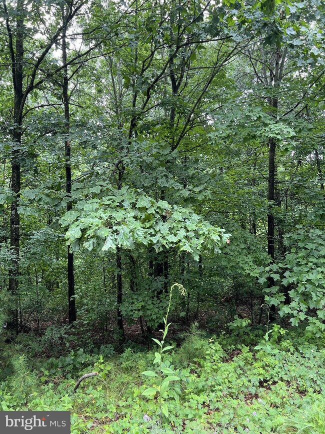 LOT 19 Fable Rd, Hedgesville, WV 25427 - photo 6