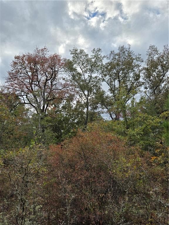 7 Dusty Rd, Seale, AL 36875 - photo 7