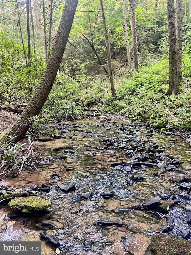 2500 Beech Creek Mountain Rd, Beech Creek, PA 16822 - photo 5