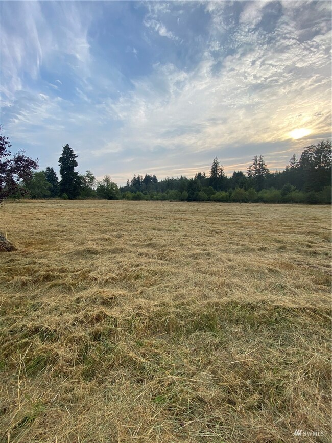 unlisted-address, Winlock, WA 98596 - photo 7