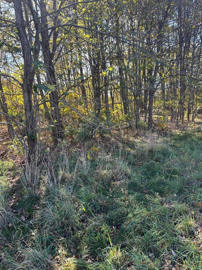 E B Ave Vacant Land (4)