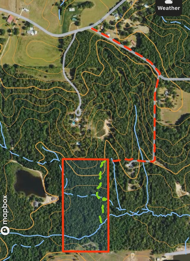 20 acres Mattie Ln, Purvis, MS 39475 - photo 2