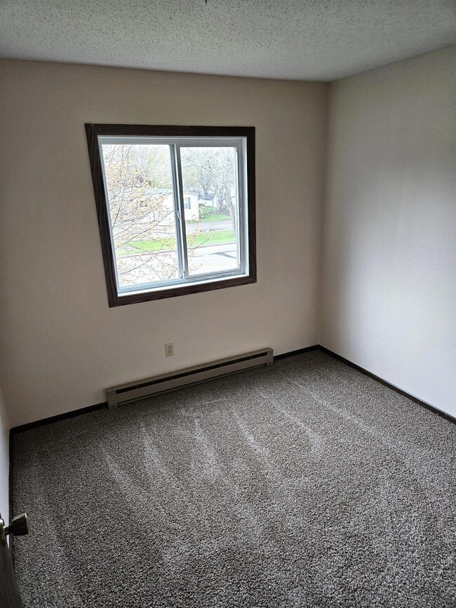 101 4th St E unit 8, Brandon, MN 56315 - photo 5