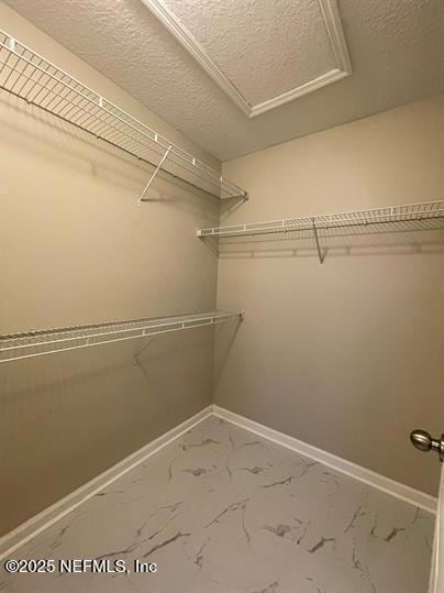 816 Grover Ln, Orange Park, FL 32065 - photo 6