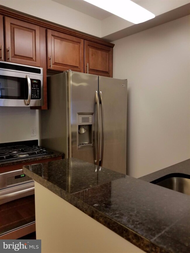 Dominion Heights unit 317, Arlington, VA 22207 - photo 6