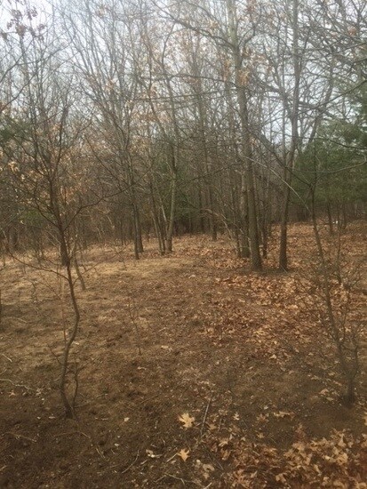 10209 E 775 S, Monterey, IN 46960 - photo 4