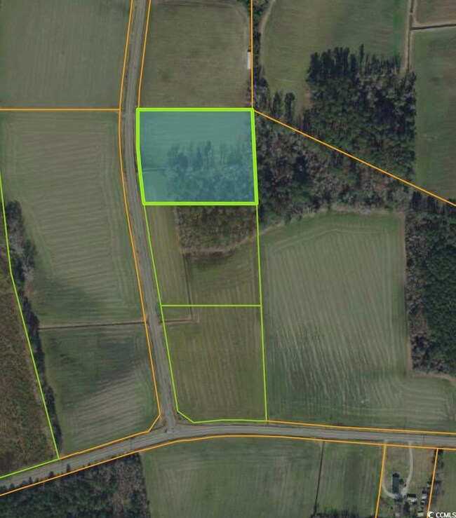 0 Elvington Rd, Nichols, SC 29581 - photo 2