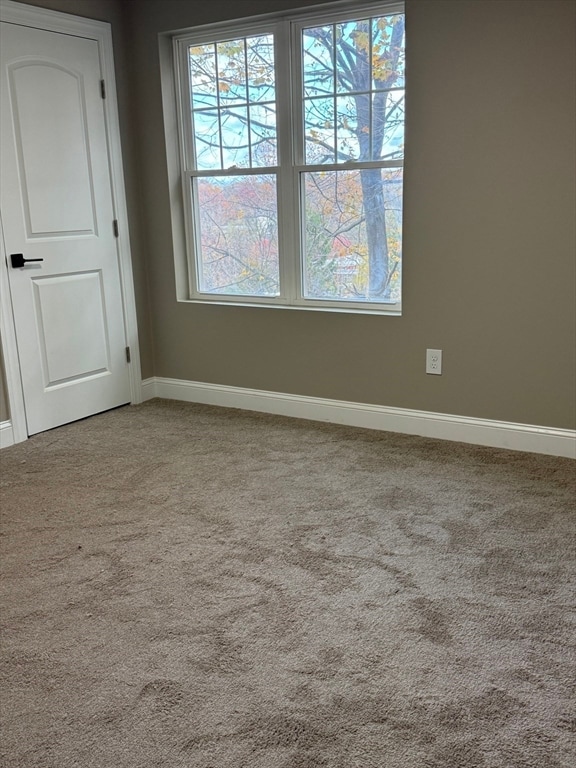 63 Progressive St, Worcester, MA 01604 - photo 7