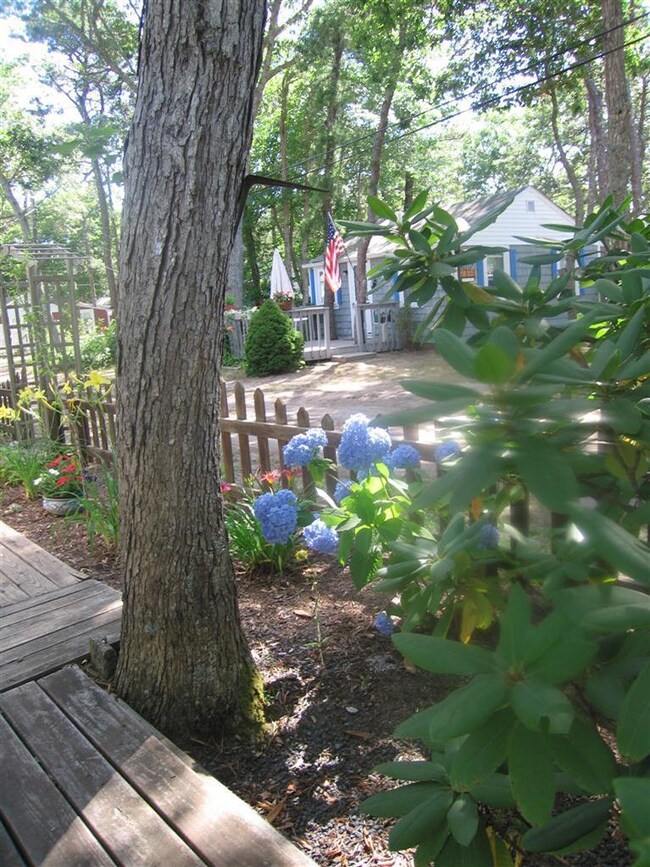 Additional Photo