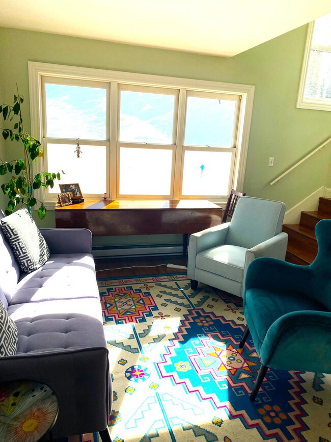 Jilek living room with skiers outside