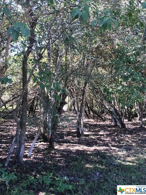 1213 Burleson St, San Marcos, TX 78666 - photo 2