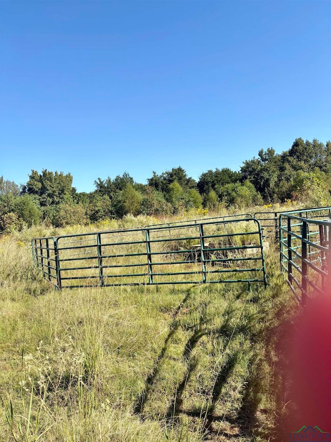 000 County Road 3414, Jacksonville, TX 75766 - photo 4