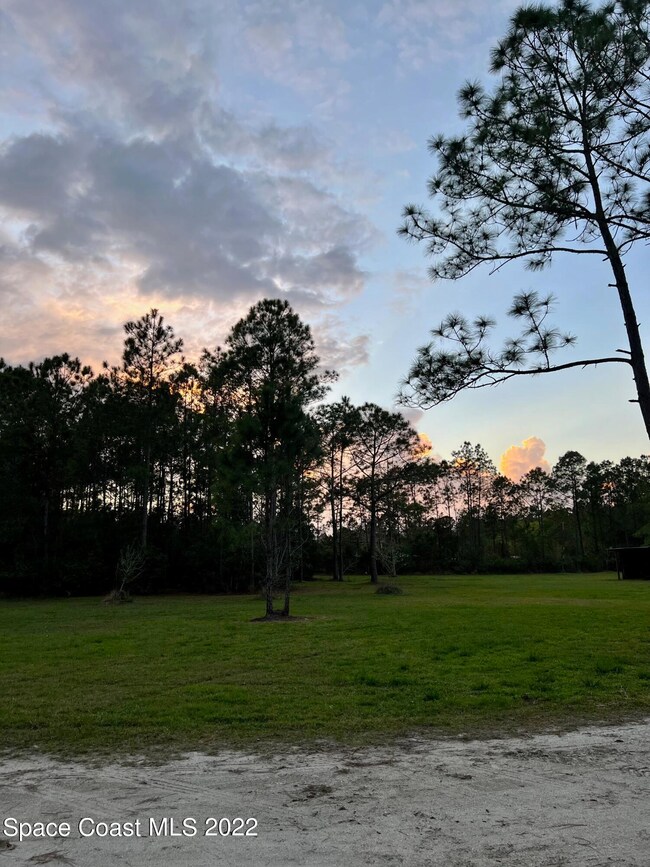 4658 Fir Rd, New Smyrna Beach, FL 32168 - photo 5