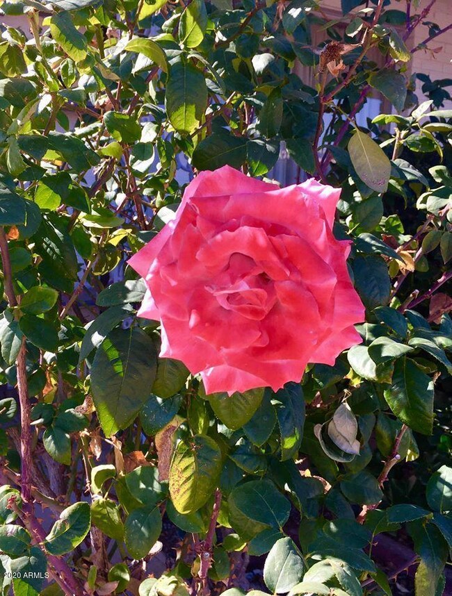 86697363_10221284708688152_5035520675461