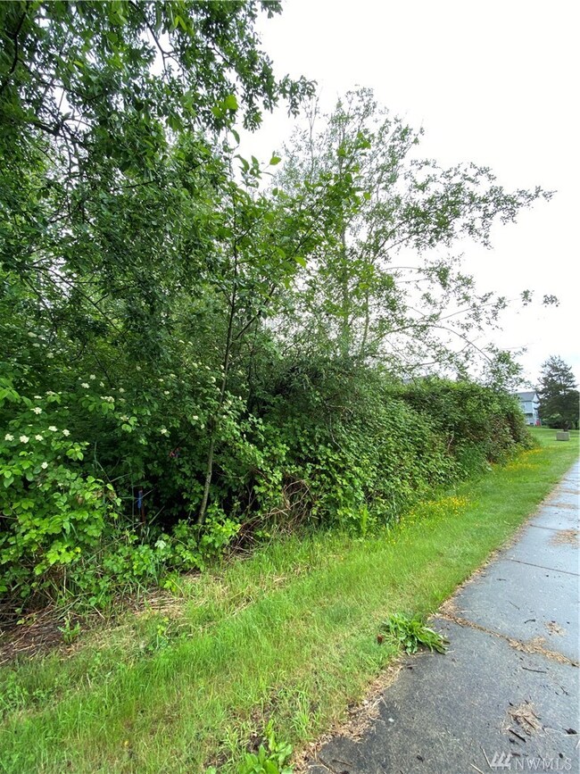 0 Runge Ave, Blaine, WA 98230 - photo 2
