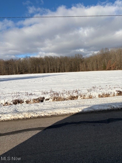 0 Griggs Rd unit 5176126, Jefferson, OH 44047 - photo 3