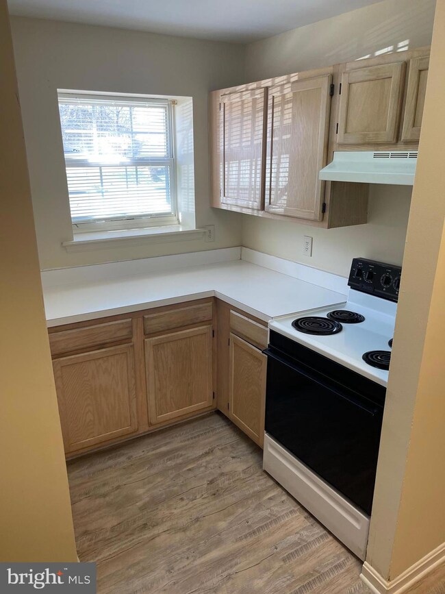 4146 Applegate Ct, Suitland, MD 20746 - photo 7