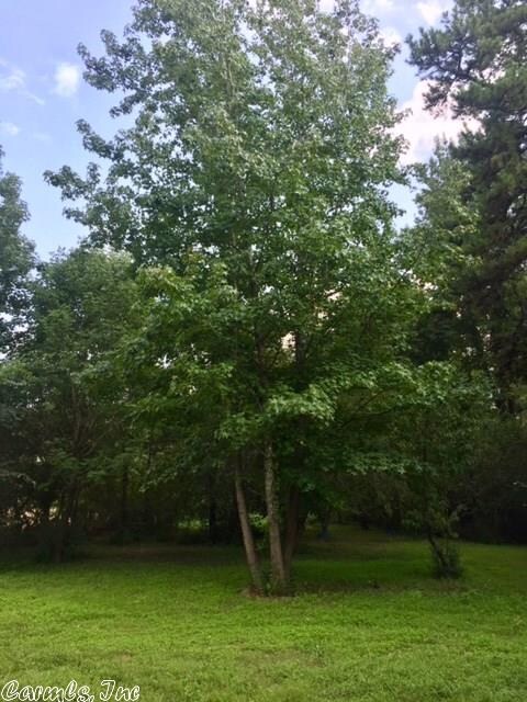 0 Cr 772, Jonesboro, AR 72401 - photo 7