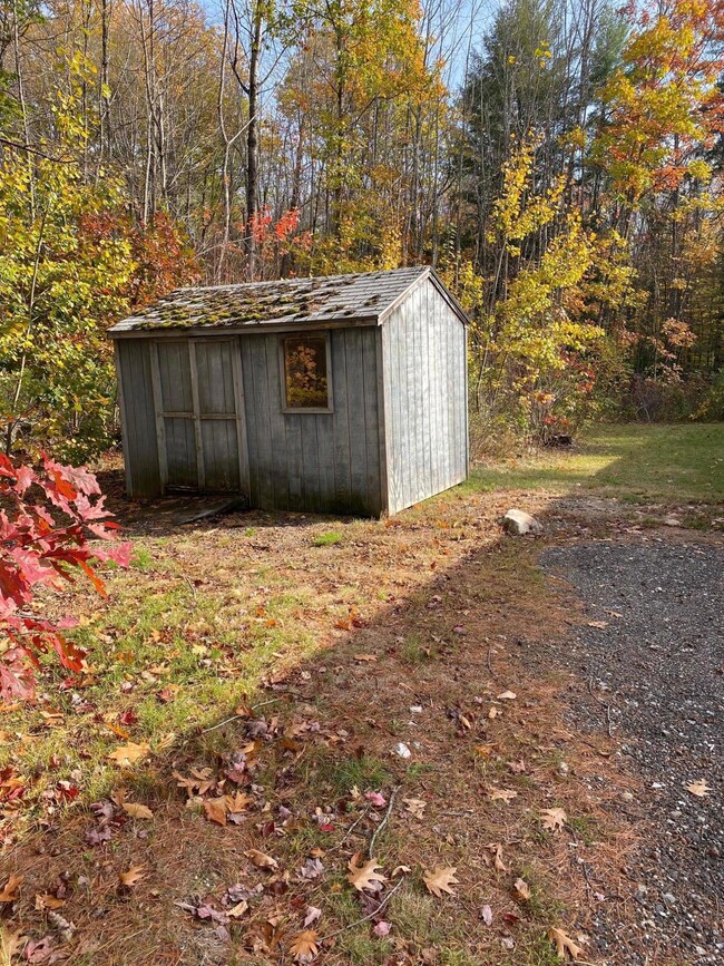 image1 (1)
