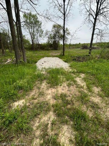 0 N Irish Rd unit 20251059753, Davison, MI 48423 - photo 3