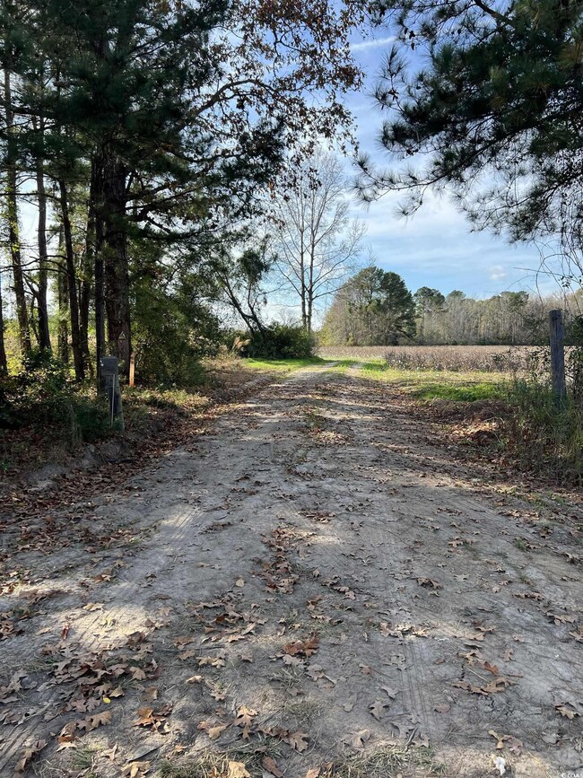 0 Easler Hwy unit 2528901, Greeleyville, SC 29056 - photo 4