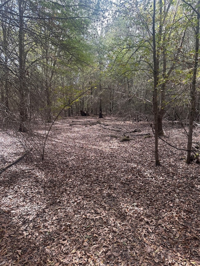 0 Fm 645 unit 10982756, Palestine, TX 75803 - photo 4