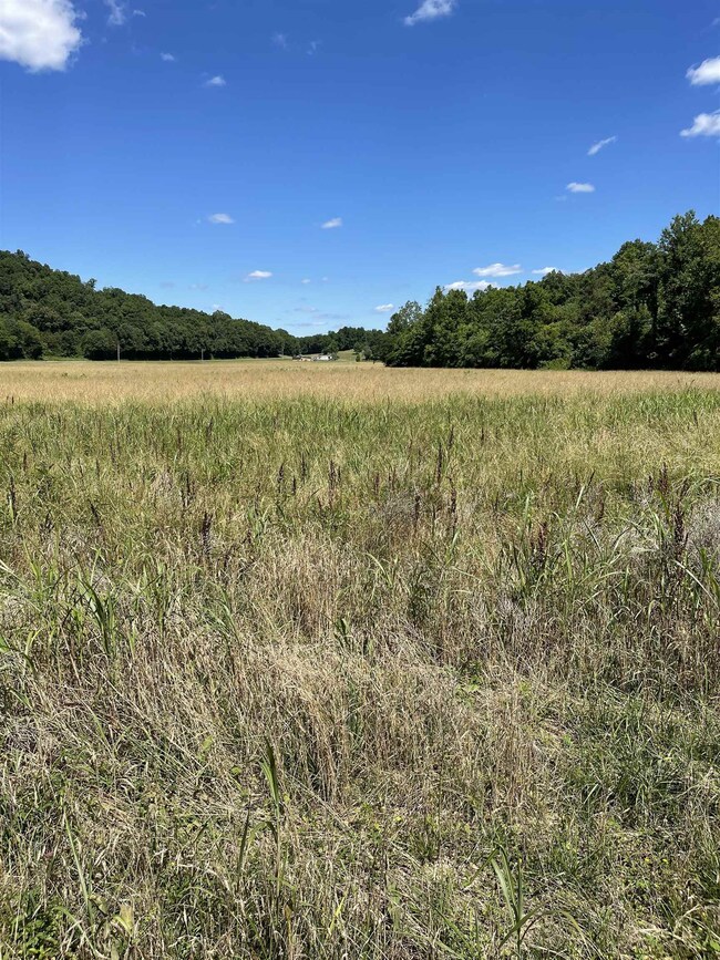 0 Woods Prong Rd, Linden, TN 37096 - photo 3