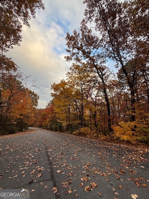 595 Whispering Dale Dr, Clarkesville, GA 30523 - photo 2