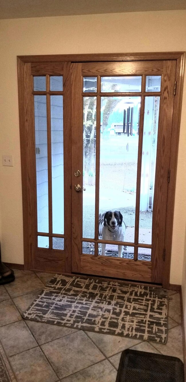 4 FRONT DOOR