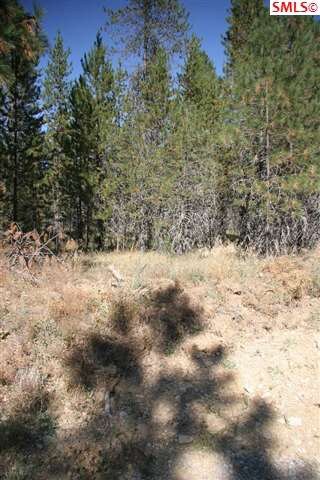 1031 Homestead Rd, Athol, ID 83801 - photo 6