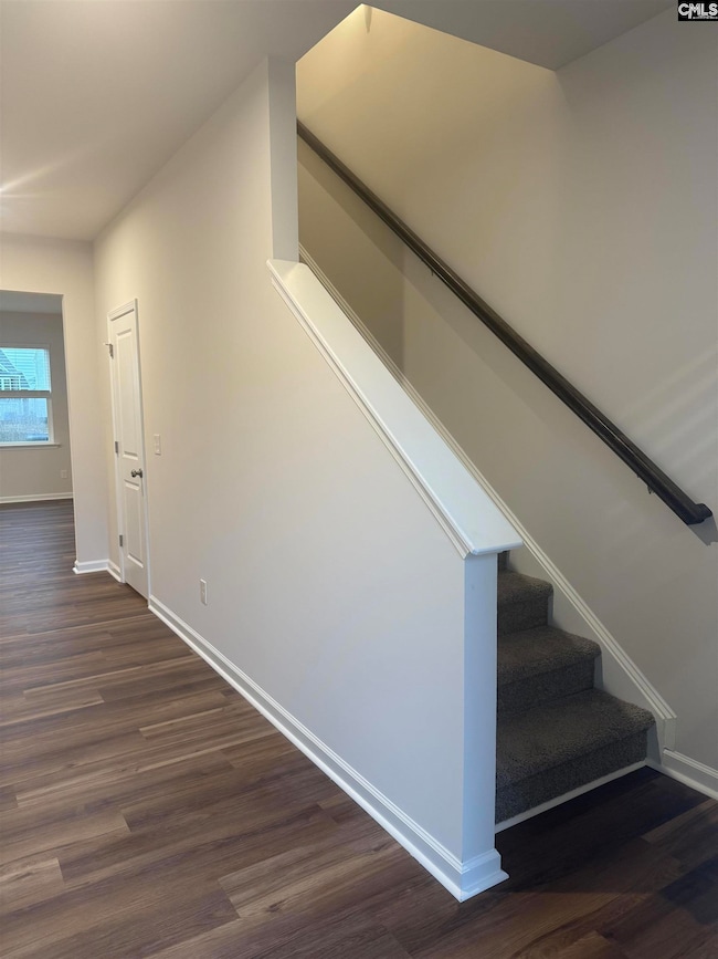 1069 Cornelia St, Elgin, SC 29045 - photo 5