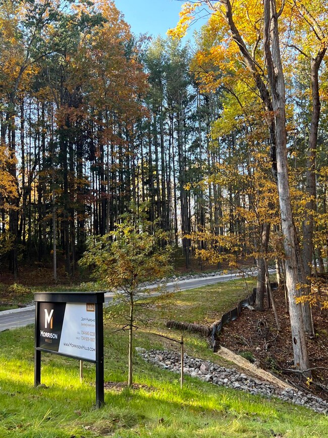 6822 Morrison Hills Ct, Dexter, MI 48130 - photo 5