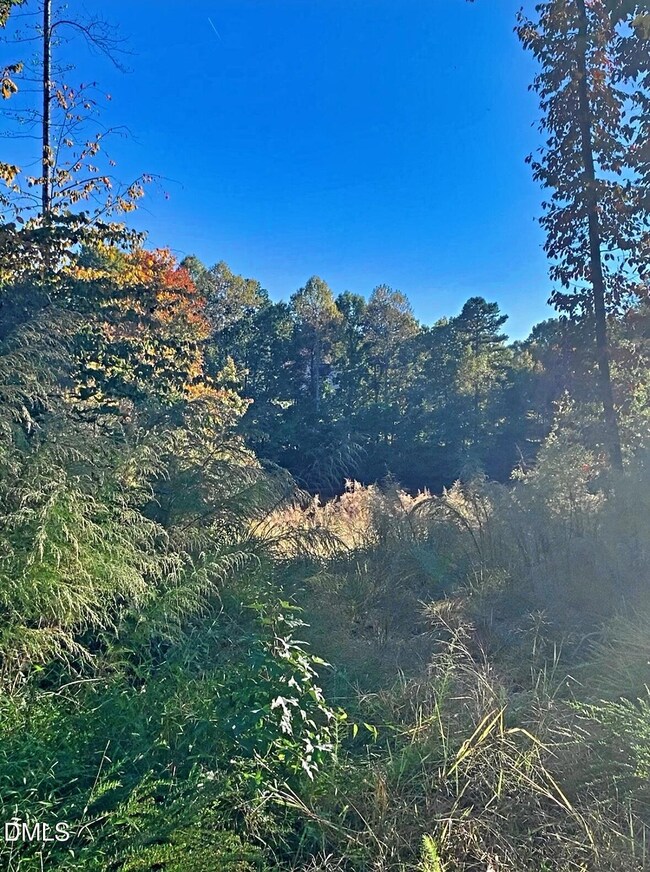 1901 Carver Dr, Roxboro, NC 27573 - photo 5